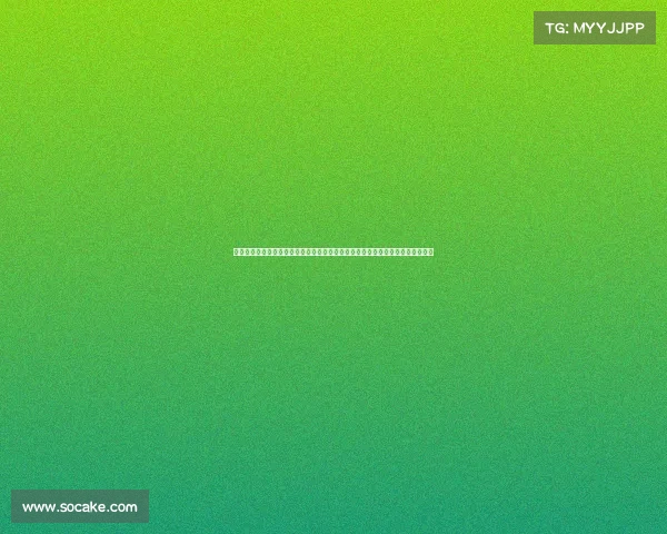 河南新体育总监贝拉表示将致力于股东利益并确保每一笔资金使用都具有实际意义